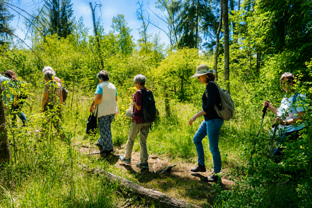 Gruppe wandert im Grünen.